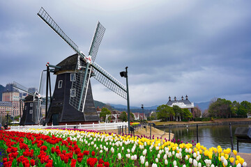 庭, 建築, ビル, 花, 公園, 花, とぶ, 旅行,  シティ, ランドマーク, サマータイム, 宮殿, 空, 風景, チューリップ, タワー, チャーチ, 家, 野原, 赤, 自然, 古い