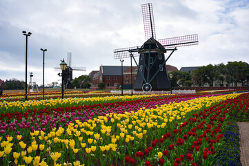 庭, 建築, ビル, 花, 公園, 花, とぶ, 旅行,  シティ, ランドマーク, サマータイム, 宮殿, 空, 風景, チューリップ, タワー, チャーチ, 家, 野原, 赤, 自然, 古い