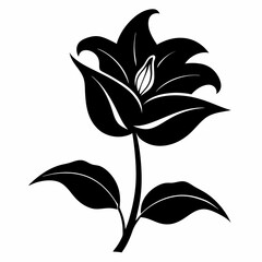 Hosta flower Black silhouette