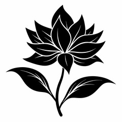 Hosta flower Black silhouette