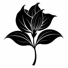 Hosta flower Black silhouette