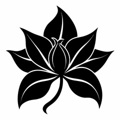 Hosta flower Black silhouette