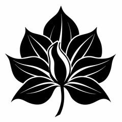 Hosta flower Black silhouette