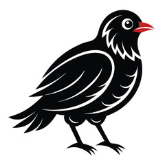 Black bird vector art illustration