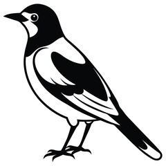 Black bird vector art illustration