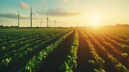 Vibrant farmland with lush crops and wind turbines against a golden sunset, symbolizing renewable energy and sustainable agriculture.