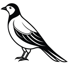 Black bird vector art illustration