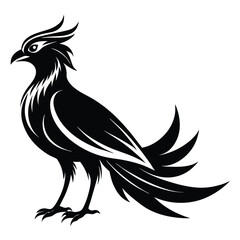 Black bird vector art illustration