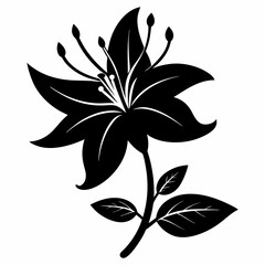 Honeysuckle flower Black silhouette