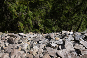 A rocky terrain covered in scattered stones among lush green trees near a forested area on a sunny day