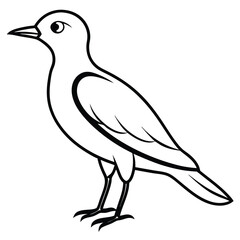 Black bird vector art illustration