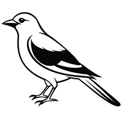 Black bird vector art illustration