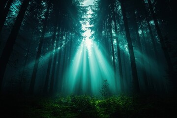 Enigmatic forest scene with dramatic light beams piercing through the mist, creating an ethereal atmosphere.