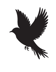 Black bird vector art illustration