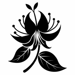 Honeysuckle flower Black silhouette