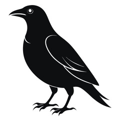 Black bird vector art illustration