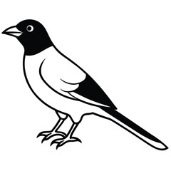 Black bird vector art illustration