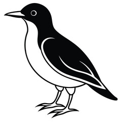 Beautiful Bird vector art Illustration