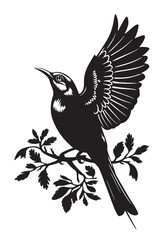 Beautiful Bird vector art Illustration