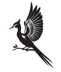 Beautiful Bird vector art Illustration