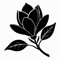 Magnolia flower Black silhouette