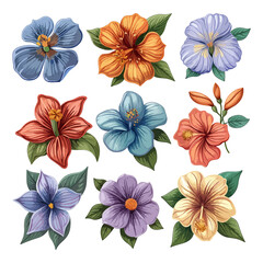 Fototapeta premium A set of beautiful flowers clip art vector white background
