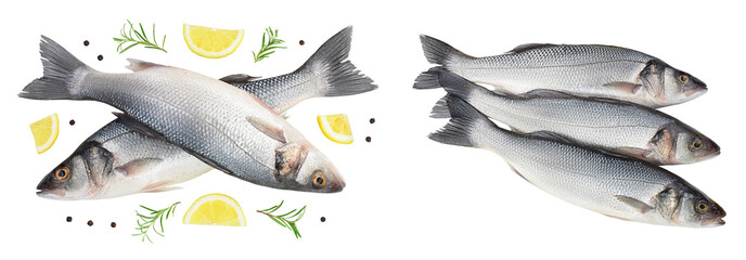 Sea bass fich isolated on white background . Top view. Flat lay