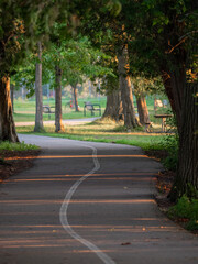 Landscape image of a tourist road in a pine forest. Pleasant relaxation for trips, Nordic walking, walking in the fresh air, away from the noise of the city, in silence and tranquility.