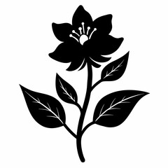 Balsam flower Black silhouette