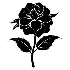 Balsam flower Black silhouette