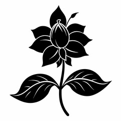Balsam flower Black silhouette