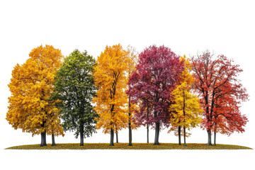 Naklejka premium Row of colorful autumn trees isolated on transparent background. Fall season