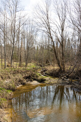 Fototapeta premium Serene river surrounded by bare trees in forest early spring. Amazing view of little stream. Peaceful and tranquil scene. Beautiful landscape.