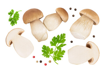 Fototapeta premium Fresh porcini cep mushroom isolated on white background. Top view. Flat lay