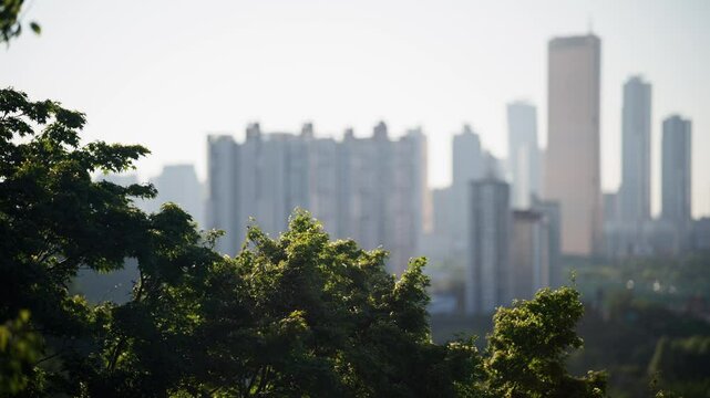 Cinematic Bokeh View of Yeouido Skyline and 63 Building: Focus on Lush Trees at Yongyangbong Jeojeong Park in Seoul