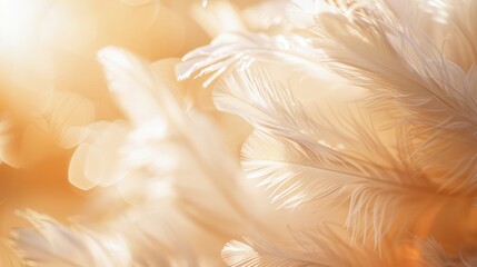 Detailed close-up of golden feather texture with warm, soft lighting, emphasizing the delicate and luxurious appearance.