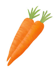 Carrot vegetable vector drawing for design