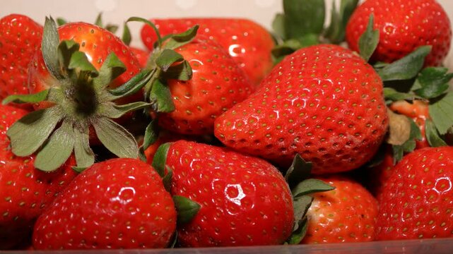 fruta temporada fresas  envasada envase plastico 