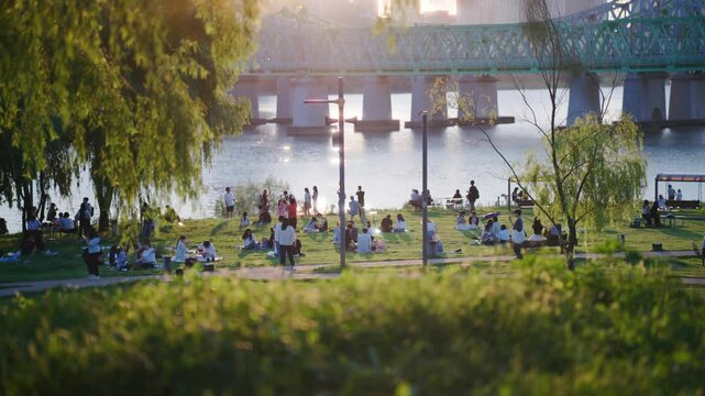 Vibrant Park Life by the Han River: People Relaxing, Gathering, and Enjoying Nature Near the Bridge at Sunset