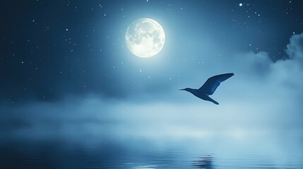 Night Sky with a Lone Bird Flying