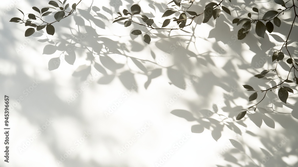 Aufkleber a visually calming image showing the soft and intricate shadows of foliage cast on a bright and ligh