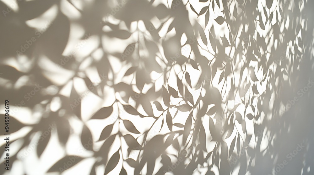 Poster An artistic representation of leaves casting intricate shadows on a wall illuminated by bright light, creating a play of light and shadow that is both serene and visually interesting.