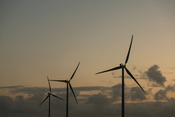 wind turbines farm, wind power generation equipment, clean energy, renewable energy