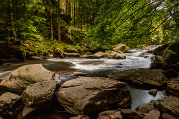 Divoka Orlice river at Zemska brana, Czech Republic