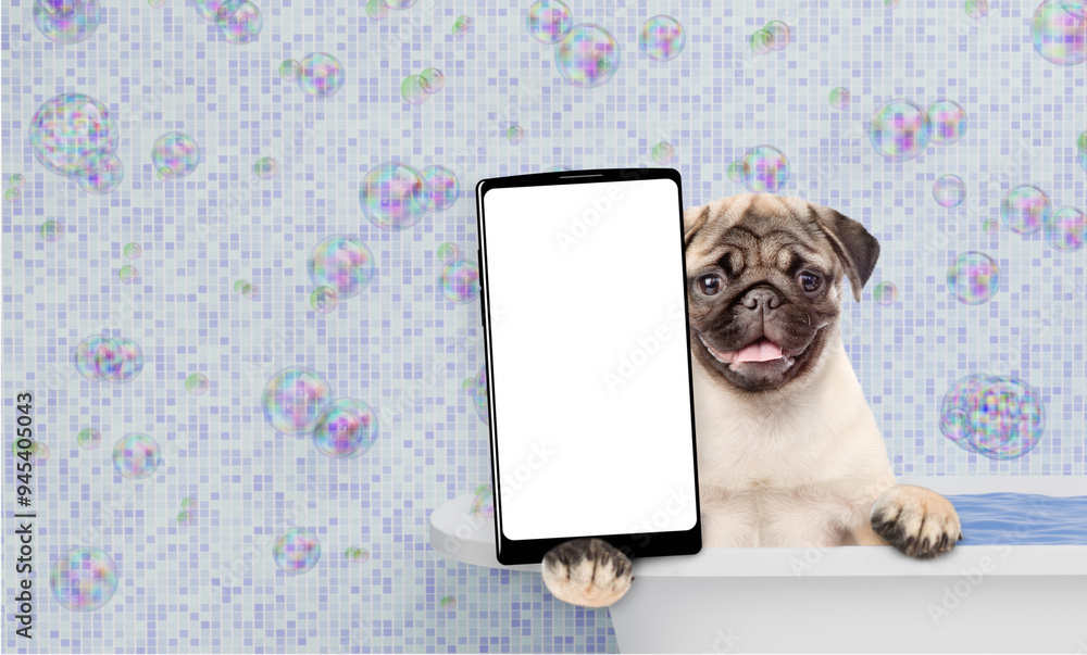 Poster funny pug puppy wearing shower cap takes the bath shows big smartphone with white blank screen in it
