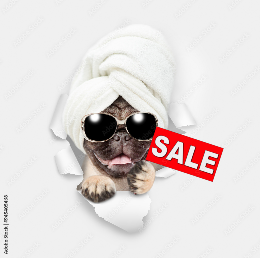 Aufkleber cute pug puppy with towel on it head looking through a hole in white paper and showing signboard wit