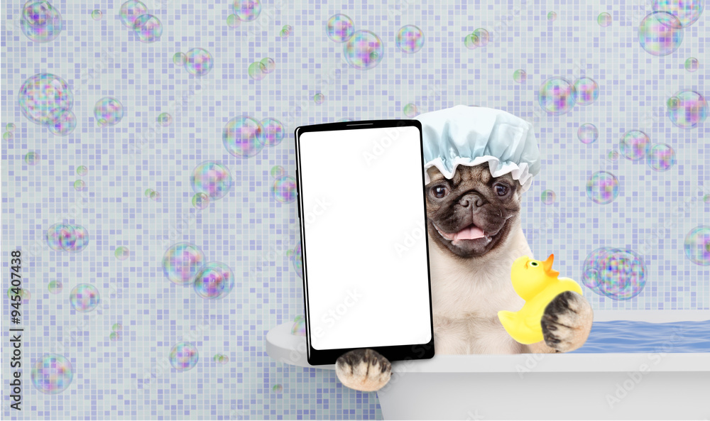 Poster funny mastiff puppy wearing shower cap holds rubber duck, takes the bath shows big smartphone with w