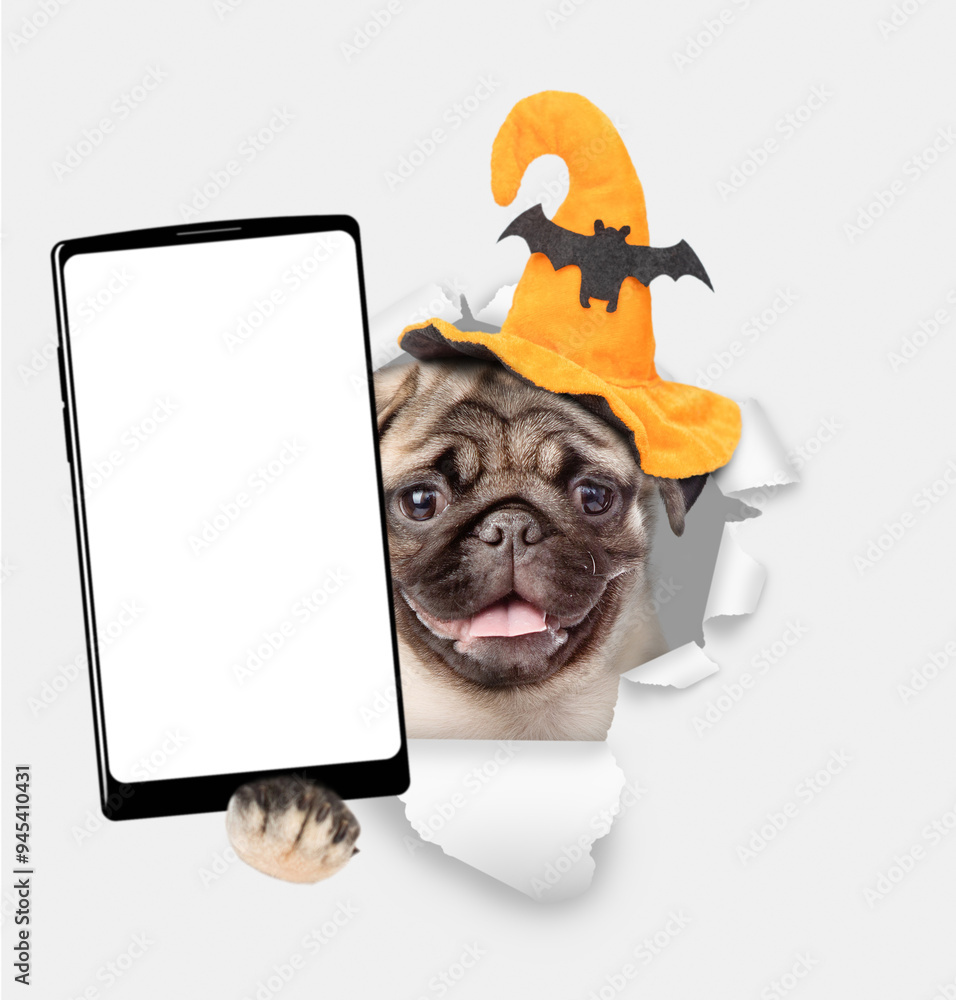Poster funny pug puppy wearing hat for halloween holds big smartphone with white blank screen in it paw, sh