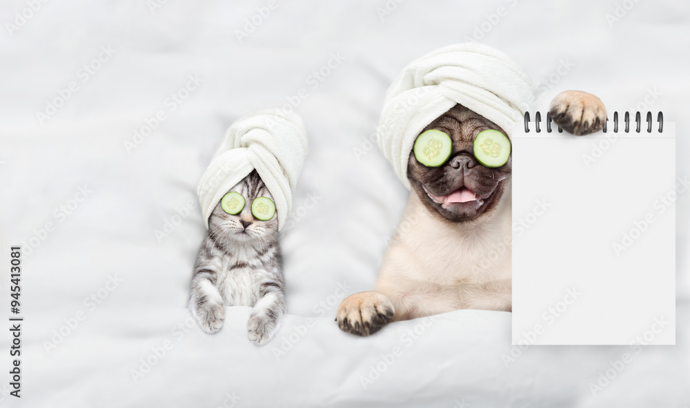 Poster Funny kitten and pug puppy with towel on their heads and with a pieces of cucumber on their eyes relaxing on the bed at spa salon. Top down view. Empty space for text