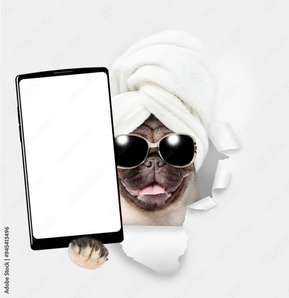 Aufkleber cute pug puppy with towel on it head holds big smartphone with white blank screen in it paw, showing